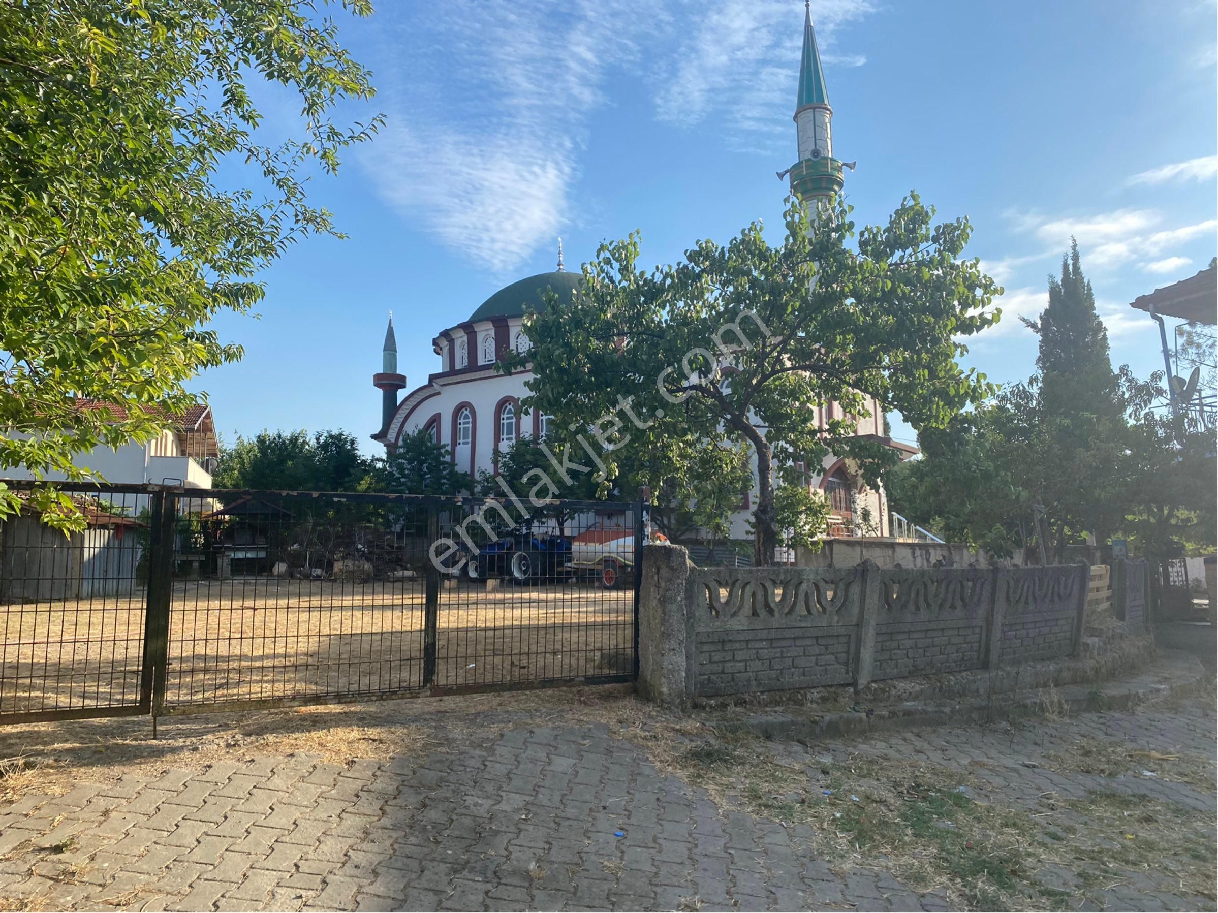Kandıra Kubuzcu Da Köy İçi İmarlı Arsa