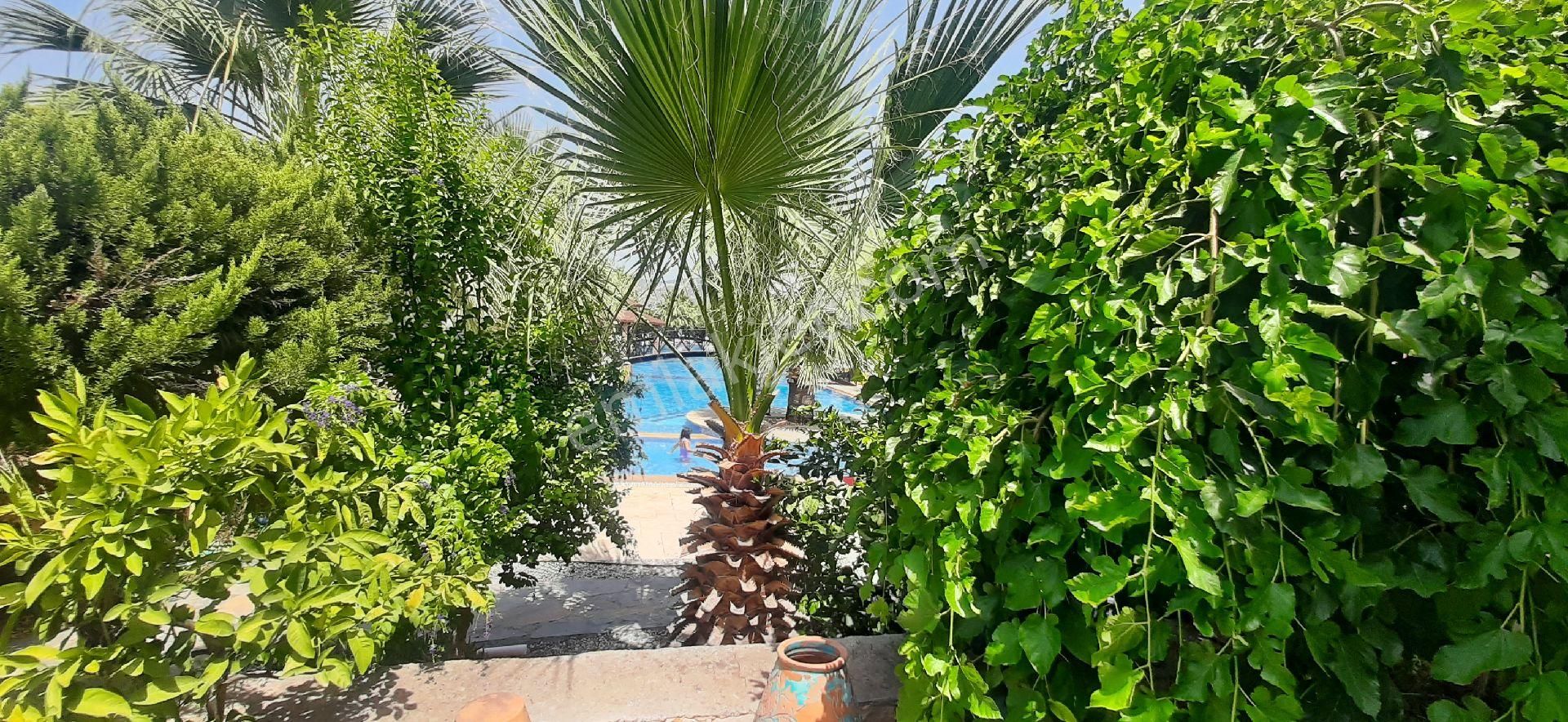 Didim Akbük'te Çok Elit Sitede Köşe Konum 3+1 Bahçekat Daire - Görsel 16