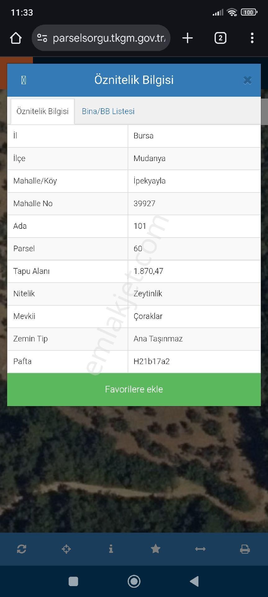 Mudanya İpekyayla'da Satılık 1870 M2 Zeytinlik