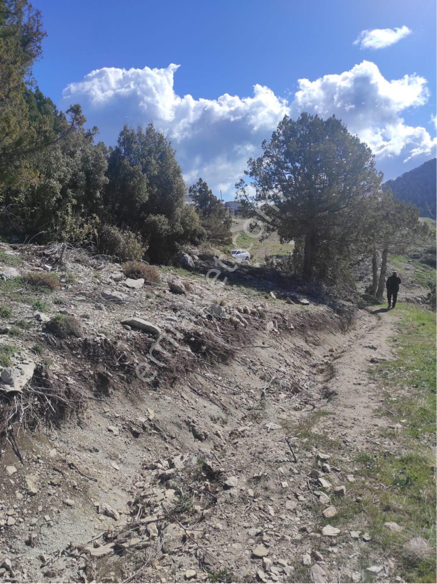 Müstakil Tapulu - Karagöl Yaylasında Ev Yapımına Uygun Arsa - Görsel 5