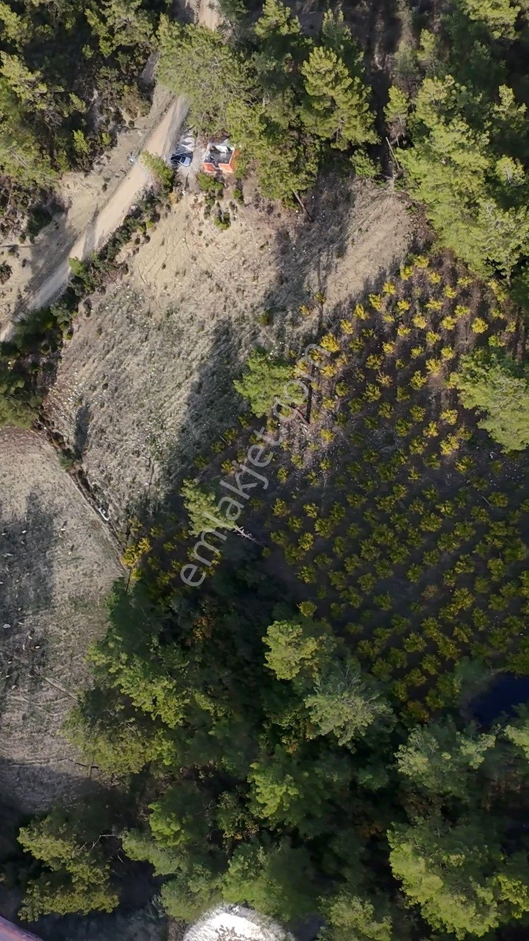 Antalya Kaş Çeşme Satılık Nar Bahçesi Ve Kargir Ev - Görsel 18