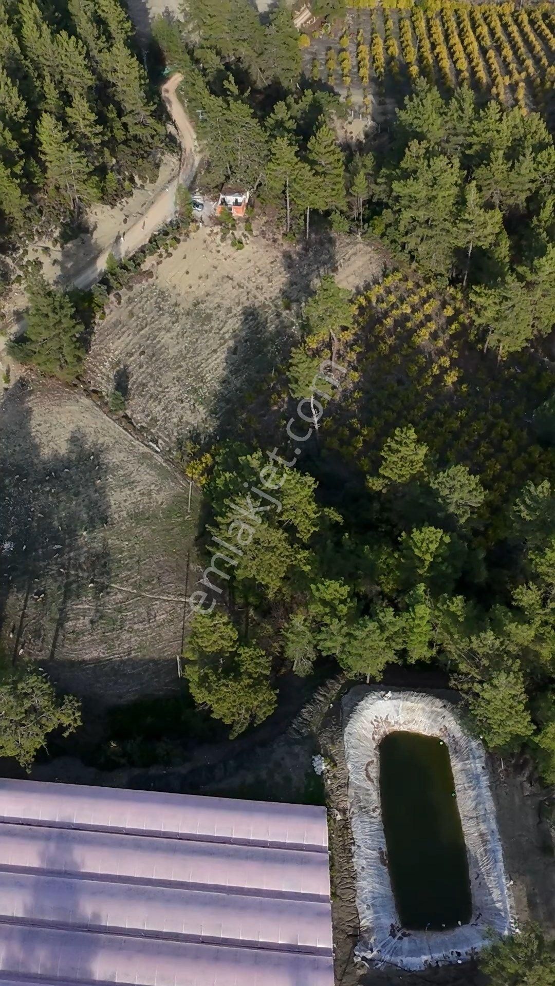 Antalya Kaş Çeşme Satılık Nar Bahçesi Ve Kargir Ev - Görsel 13