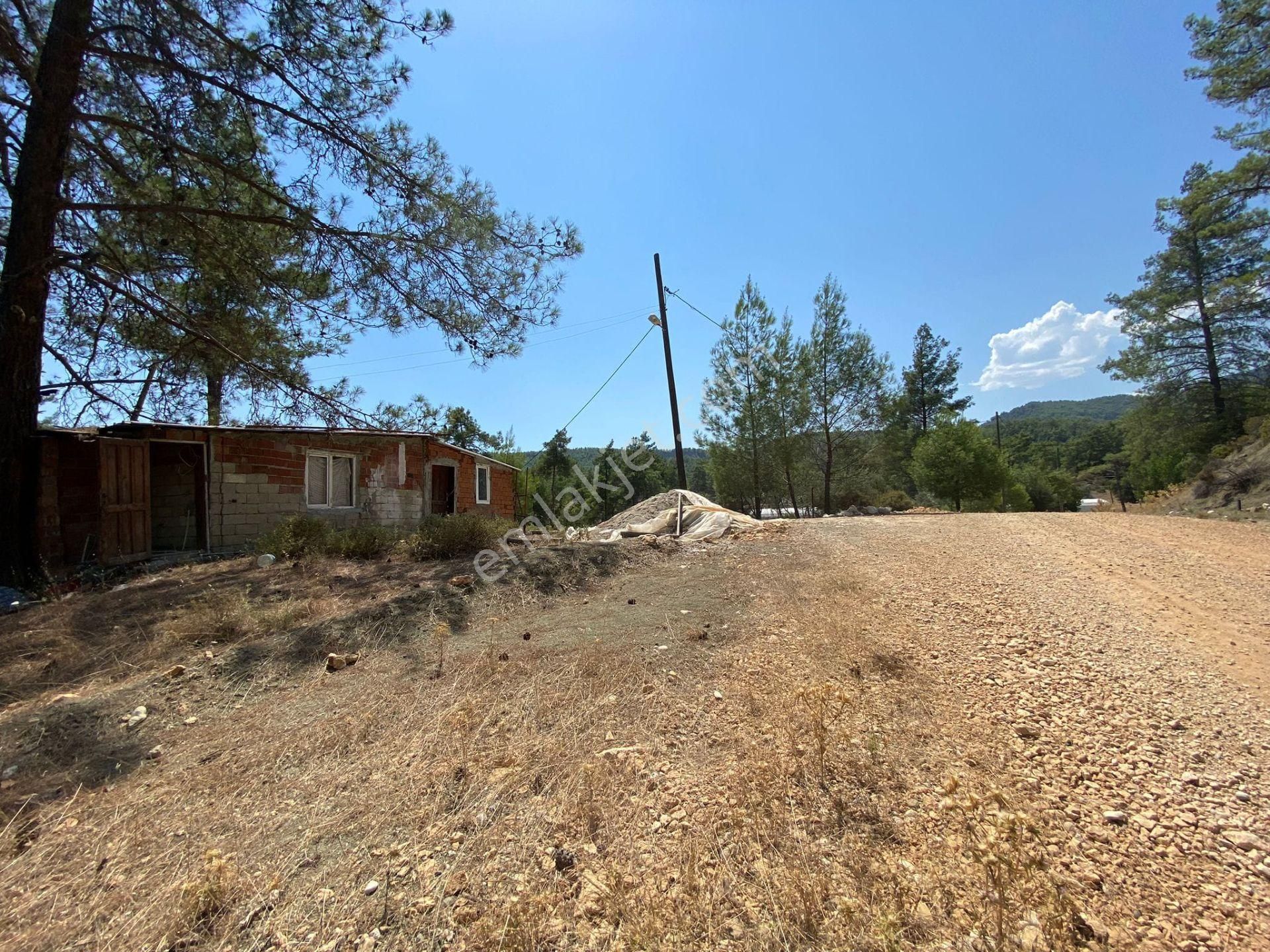 Antalya Kaş Çeşme Satılık Ev Ve Nar Bahçesi