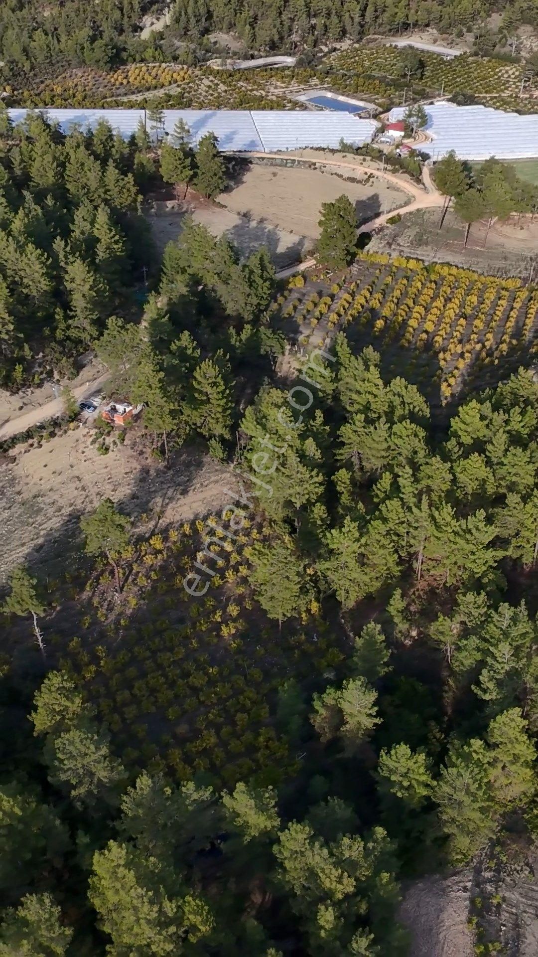 Antalya Kaş Çeşme Satılık Nar Bahçesi Ve Kargir Ev - Görsel 19