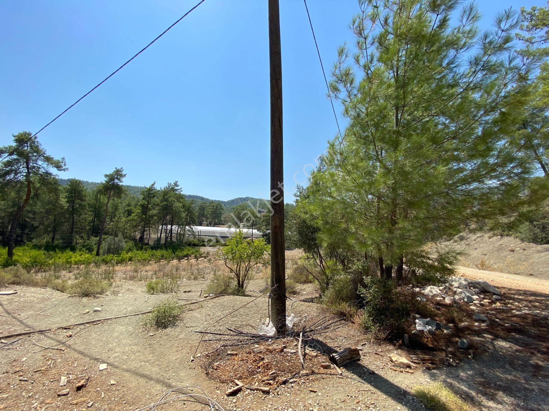 Antalya Kaş Çeşme Satılık Nar Bahçesi Ve Kargir Ev - Görsel 6