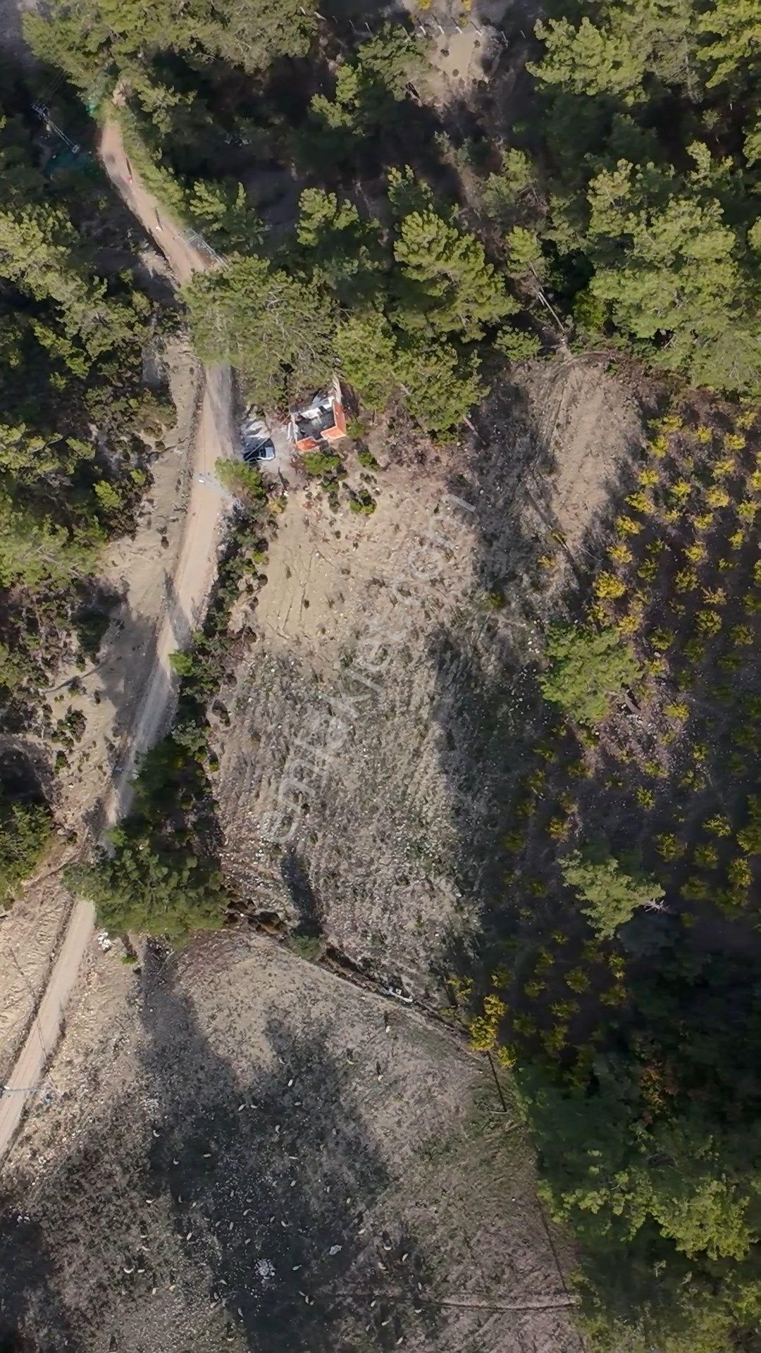 Antalya Kaş Çeşme Satılık Nar Bahçesi Ve Kargir Ev - Görsel 16