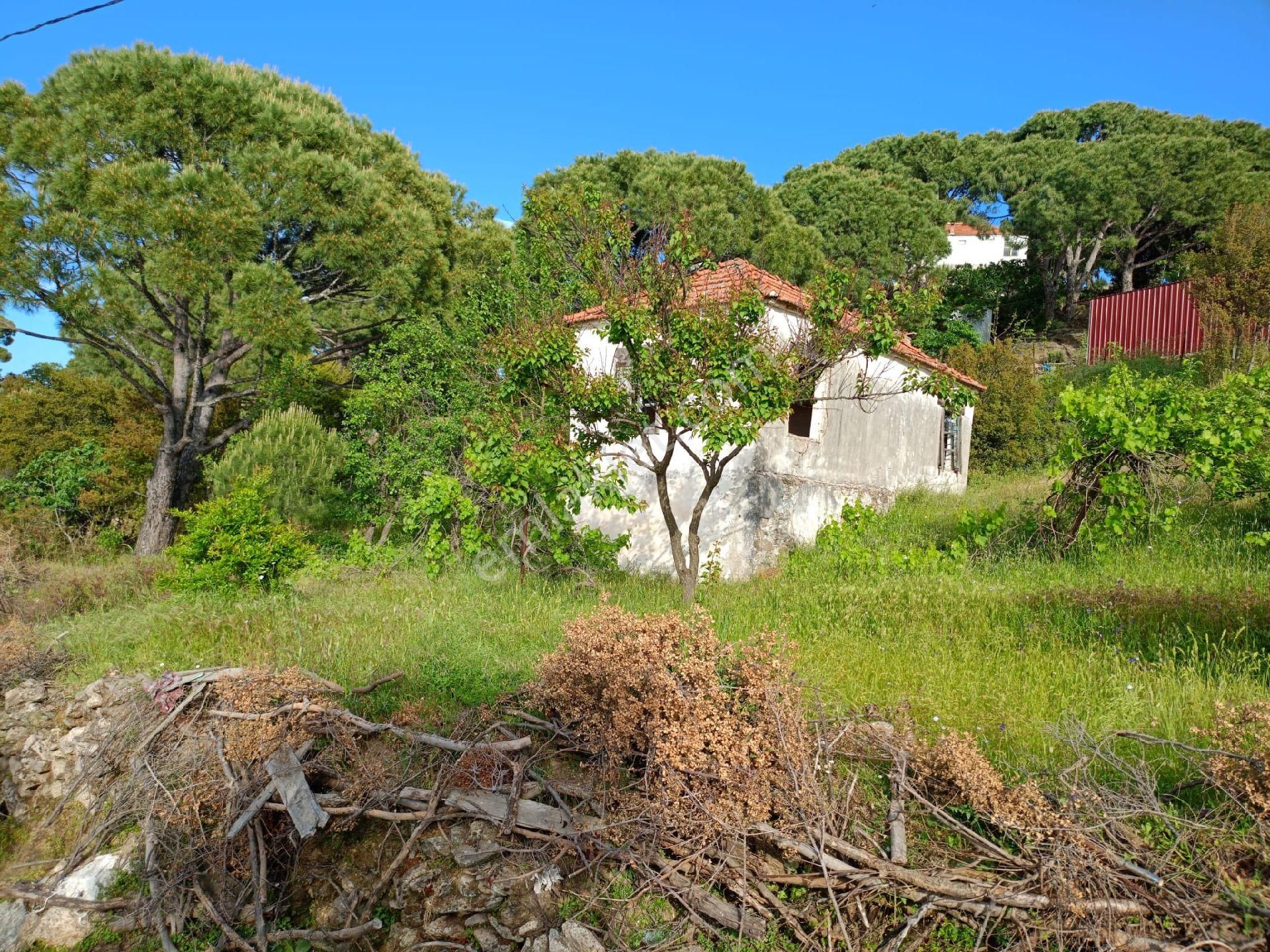 Çavdarda Satılık Köy Evi Ve Arsası - Görsel 5