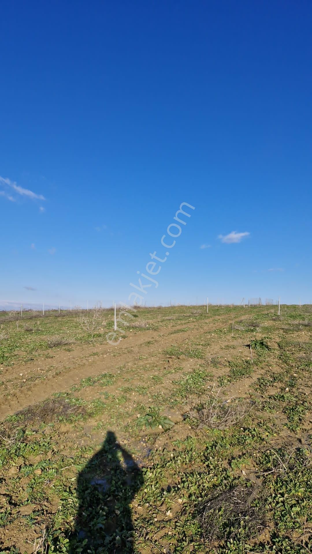 Çanakkale Gelibolu Güneyli'de Deniz Manzaralı Fırsat Satılık Tarla - Görsel 3