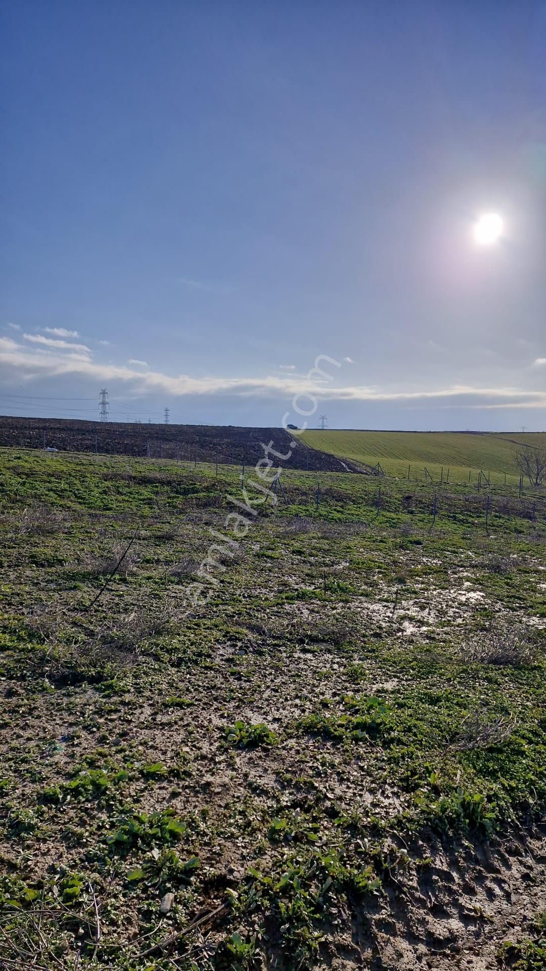 Çanakkale Gelibolu Güneyli'de Deniz Manzaralı Fırsat Satılık Tarla - Görsel 4