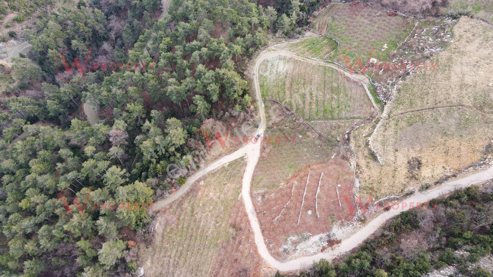 W Property'den Demirışık'ta Hazır Kurulu 3.947 M2 Meyve Bahçesi - Görsel 5