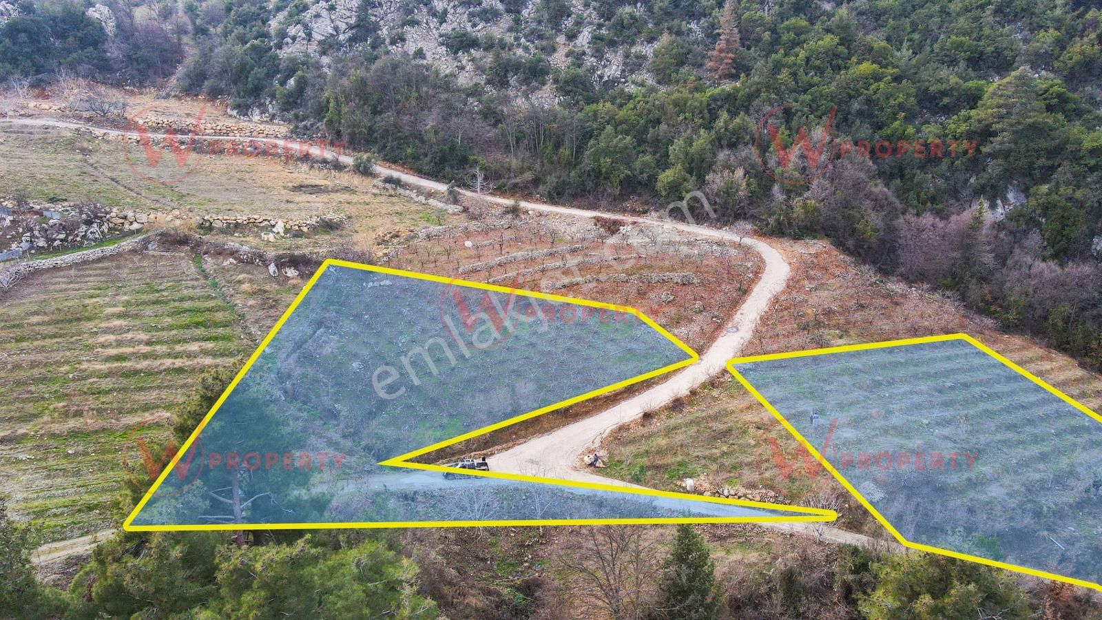 W Property'den Demirışık'ta Hazır Kurulu 3.947 M2 Meyve Bahçesi - Görsel 3
