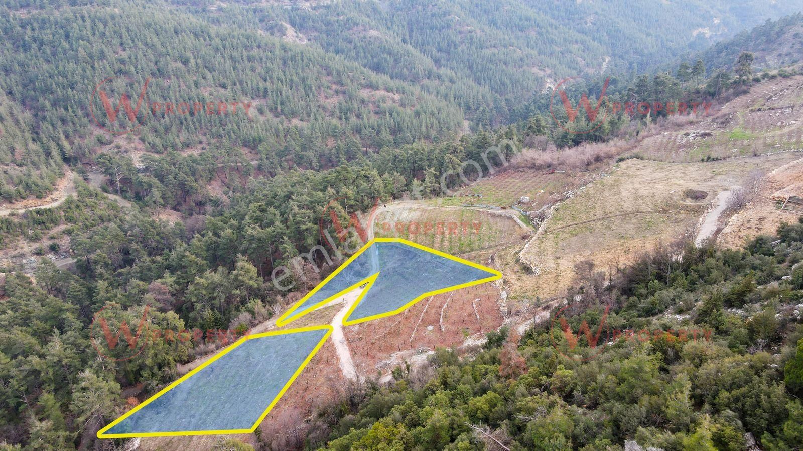 W Property'den Demirışık'ta Hazır Kurulu 3.947 M2 Meyve Bahçesi - Görsel 4