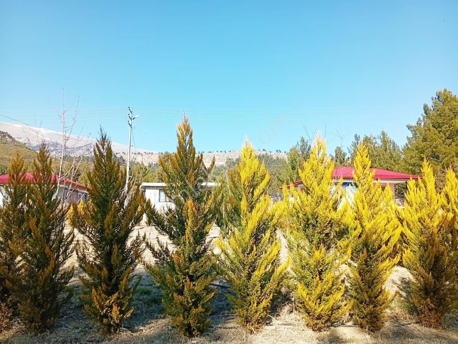 Pozantı Kar Emlaktan Akçatekir Alparslan Mevkiinde 370 M2 Arsa - Görsel 5