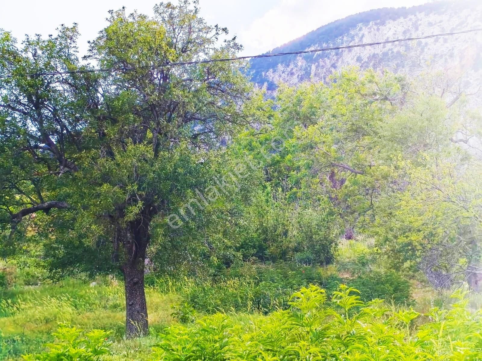 Pozantı Kar Emlaktan Akçatekir Şıhlıda Doğa Manzaralı 235 M2 Satılık Yaylalık Arsa - Görsel 9