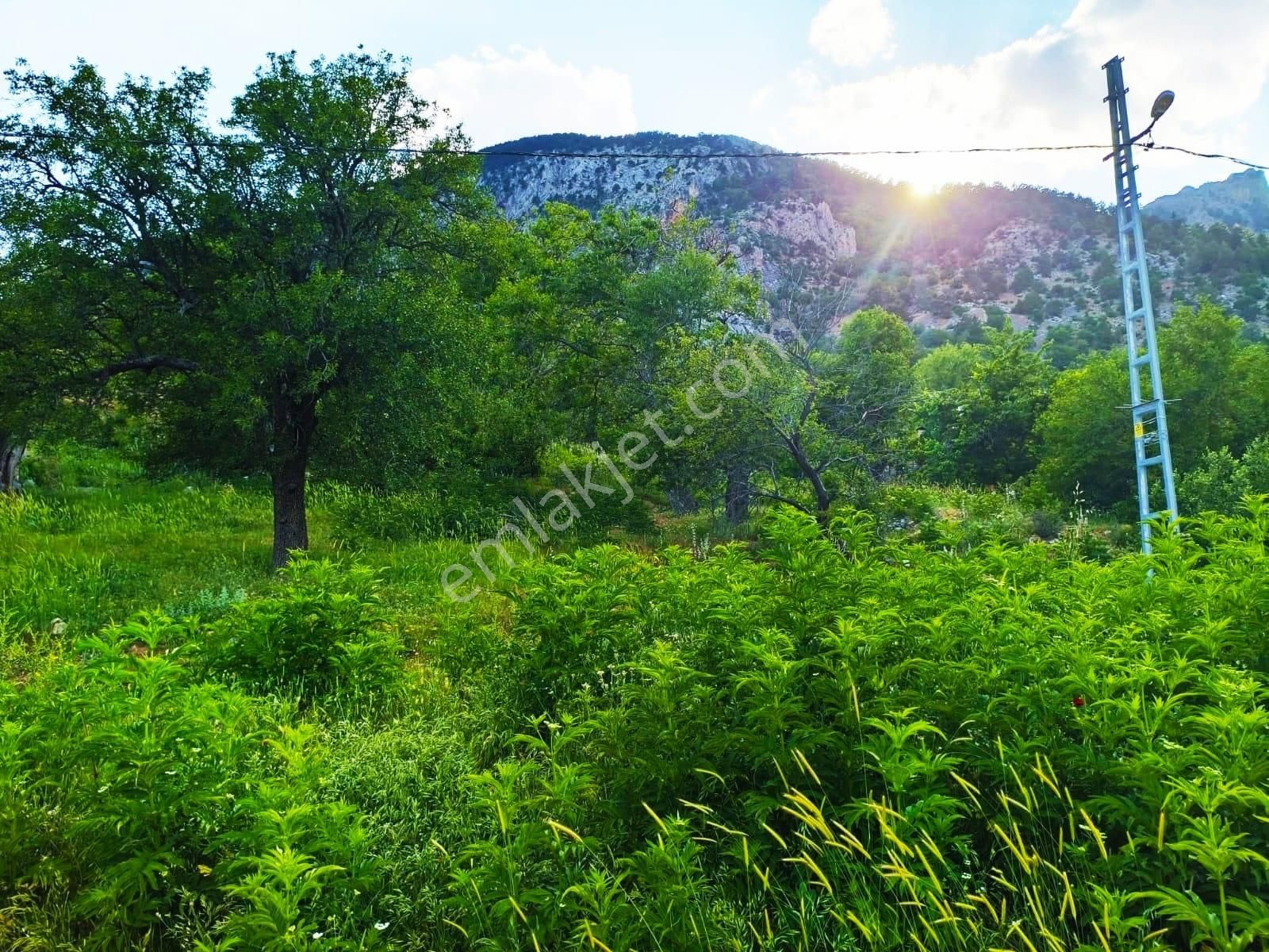 Pozantı Kar Emlaktan Akçatekir Şıhlıda Doğa Manzaralı 235 M2 Satılık Yaylalık Arsa - Görsel 19