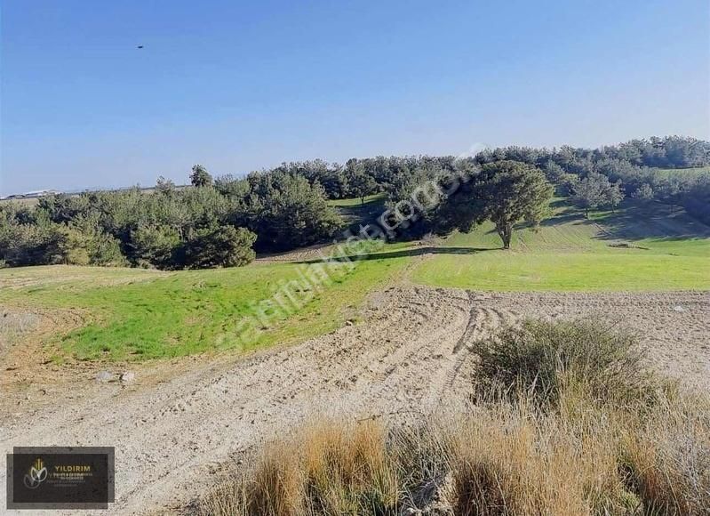 Buruk Tokilere Komşu 177 Mt Satılık Hisse - Görsel 2