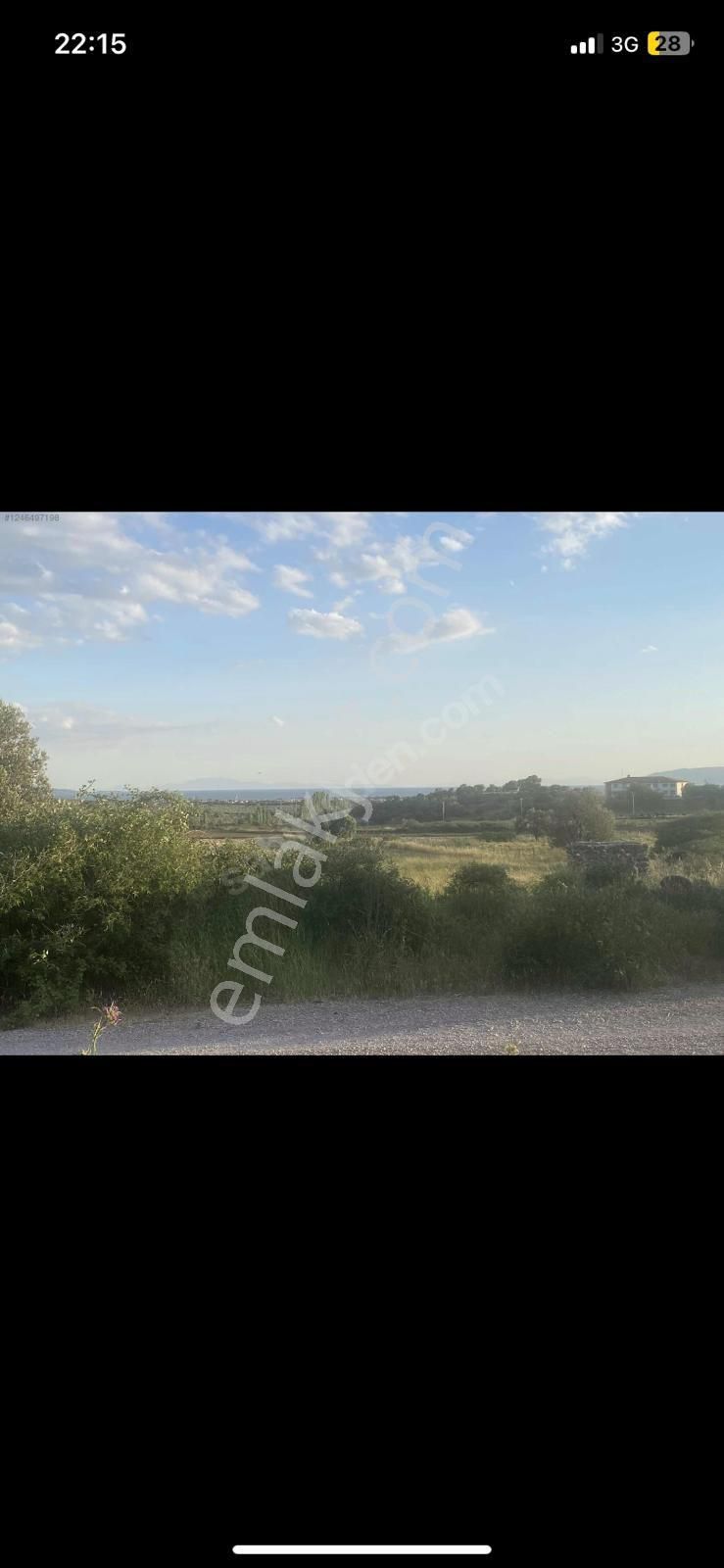 Ays Den Satılık Tarla - Görsel 2