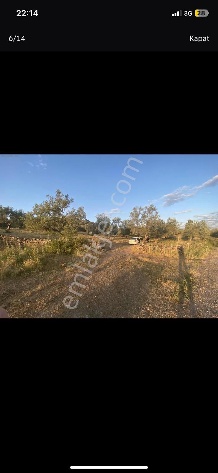 Ays Den Satılık Tarla - Görsel 5