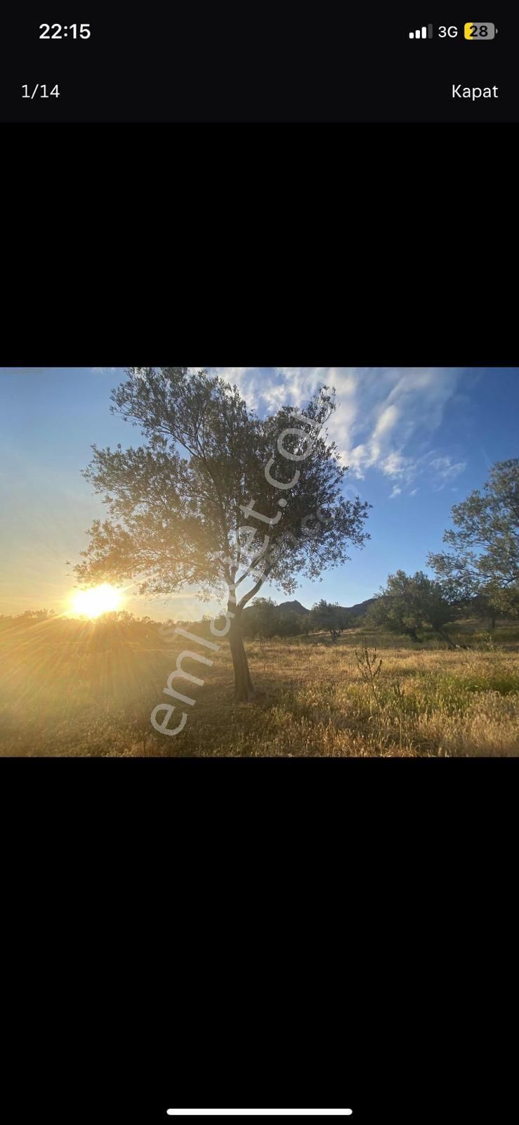 Ays Den Satılık Tarla