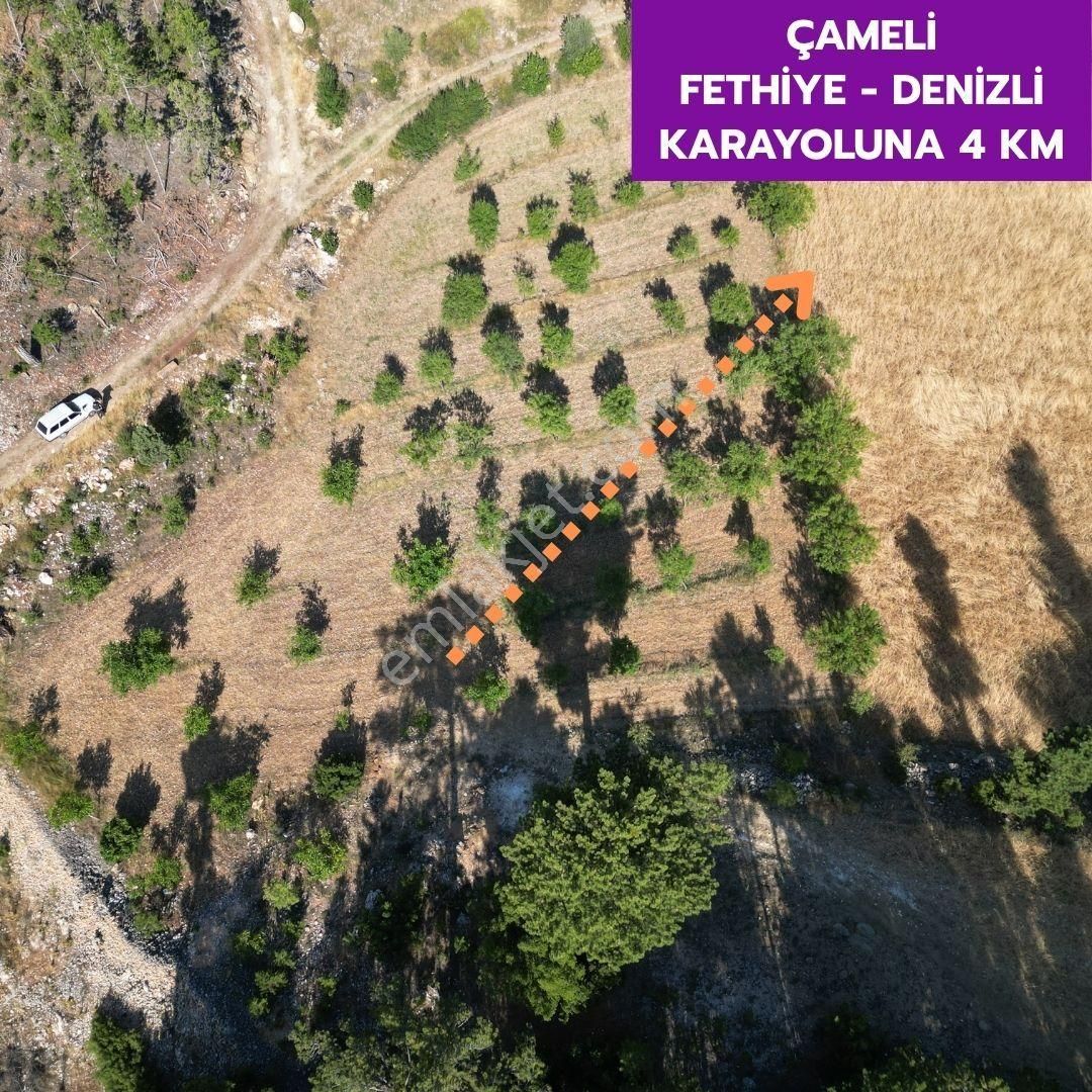 🦋çameli Gökçeyaka'da 1247 M² Yatırımlık Ceviz Bahçemiz Satılıktır.🦋 - Görsel 5