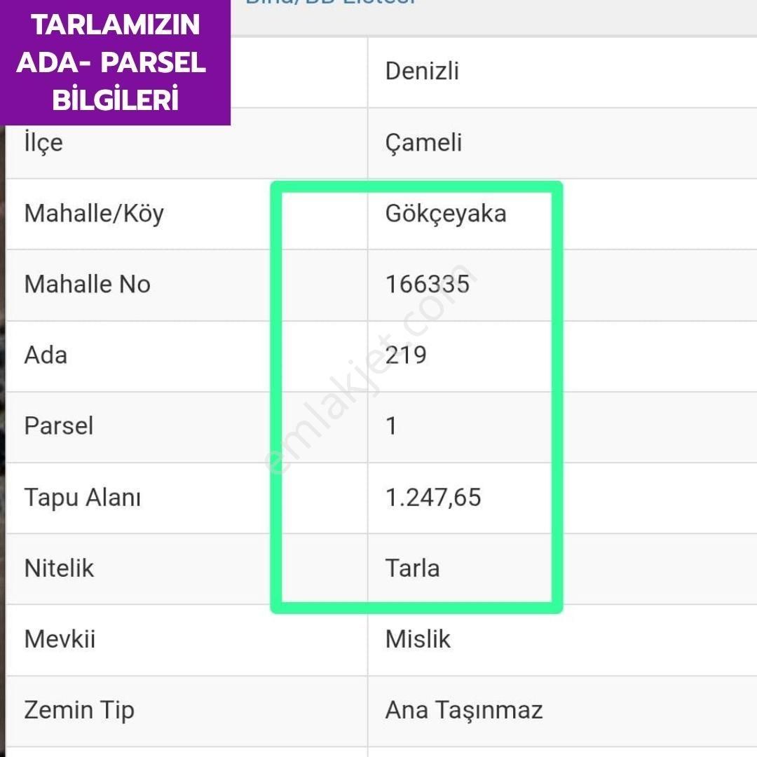 🦋çameli Gökçeyaka'da 1247 M² Yatırımlık Ceviz Bahçemiz Satılıktır.🦋 - Görsel 8