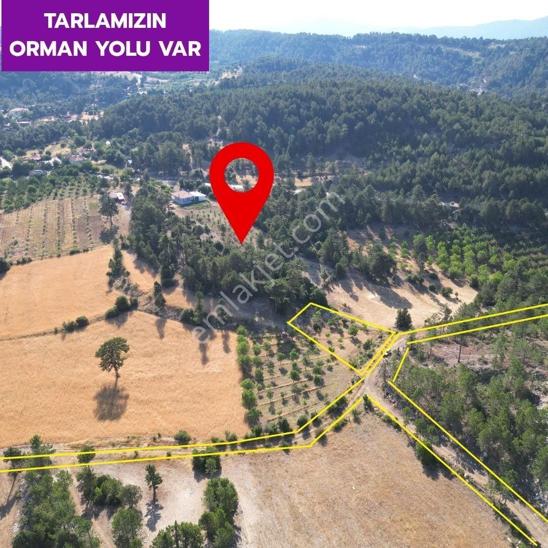 🦋çameli Gökçeyaka'da 1247 M² Yatırımlık Ceviz Bahçemiz Satılıktır.🦋 - Görsel 4