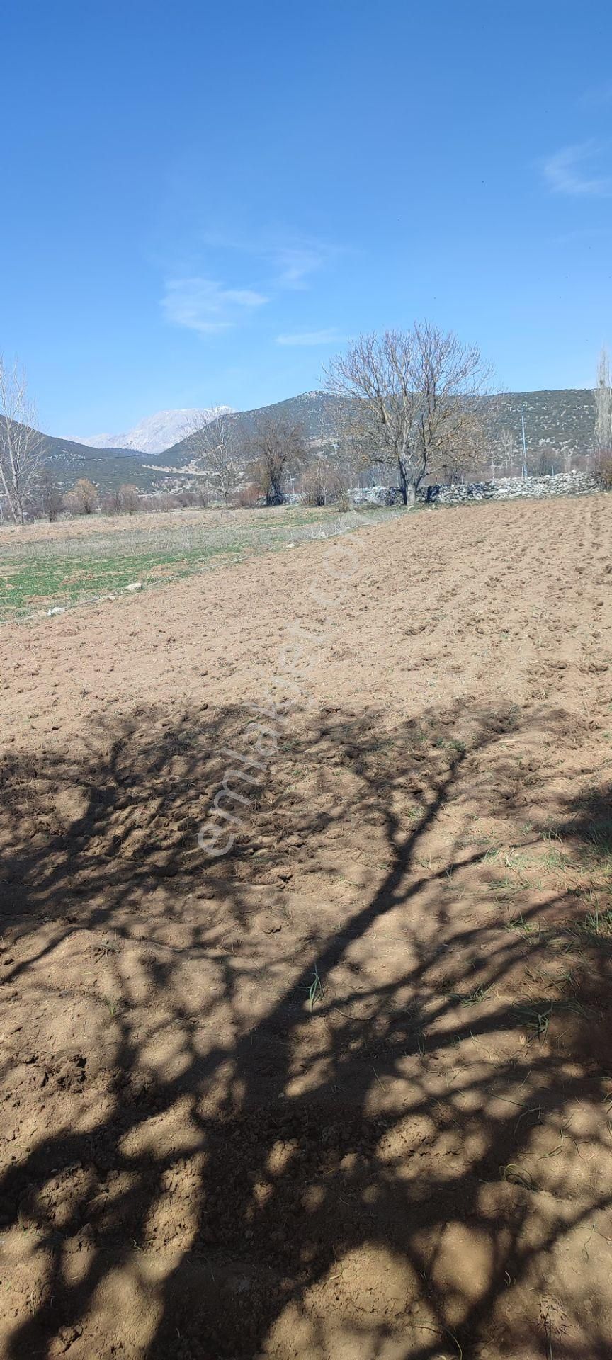 Burdur Ağlasun Hisarköy'de Kadastro Yolu Elektrik Suyu Olan Satılık 631 M2 Tarla - Görsel 11