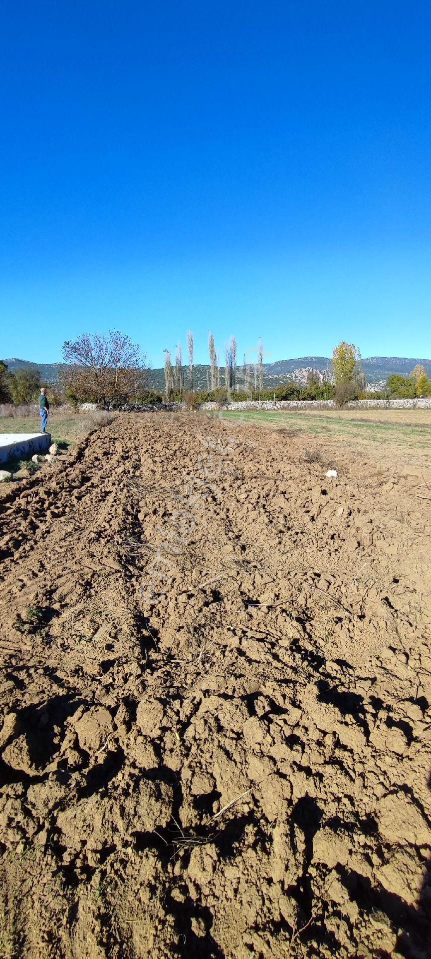 Burdur Ağlasun Hisarköy'de Kadastro Yolu Elektrik Suyu Olan Satılık 631 M2 Tarla