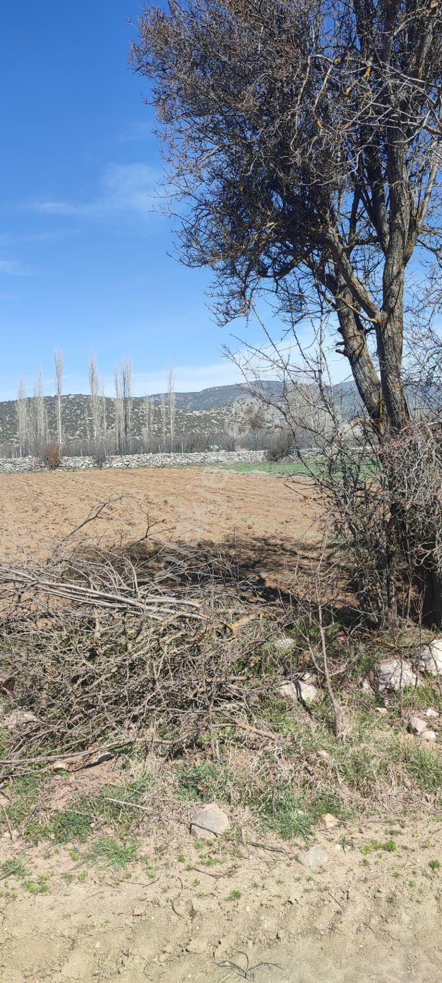 Burdur Ağlasun Hisarköy'de Kadastro Yolu Elektrik Suyu Olan Satılık 631 M2 Tarla - Görsel 13