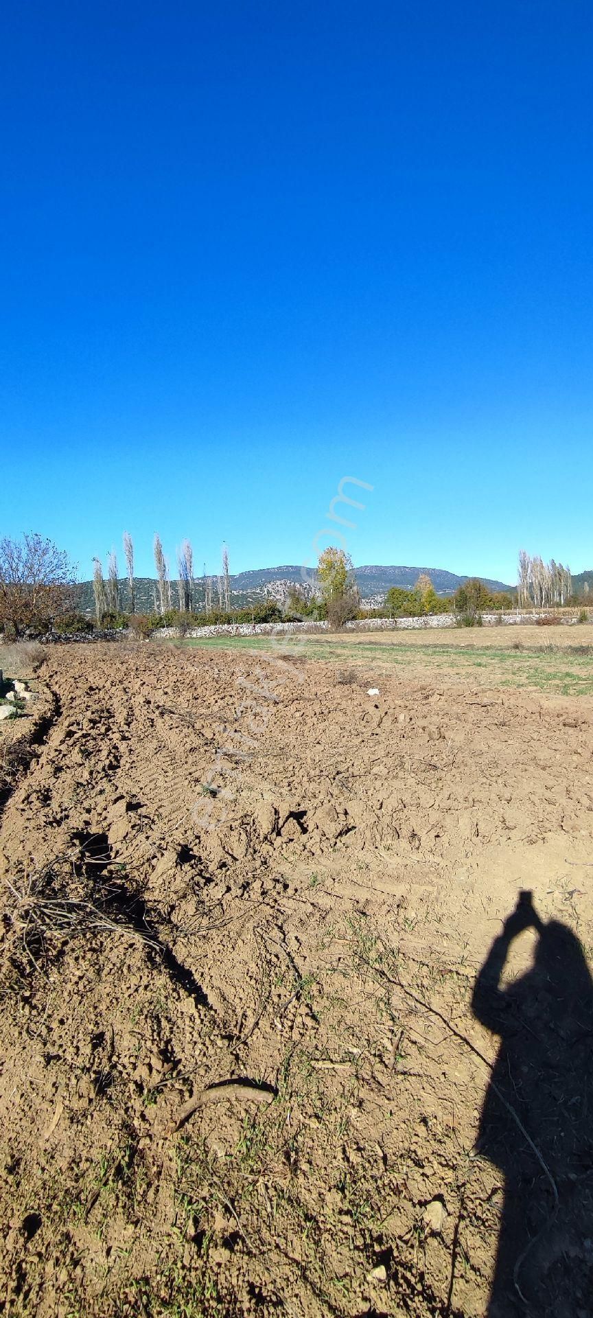 Burdur Ağlasun Hisarköy'de Kadastro Yolu Elektrik Suyu Olan Satılık 631 M2 Tarla - Görsel 22