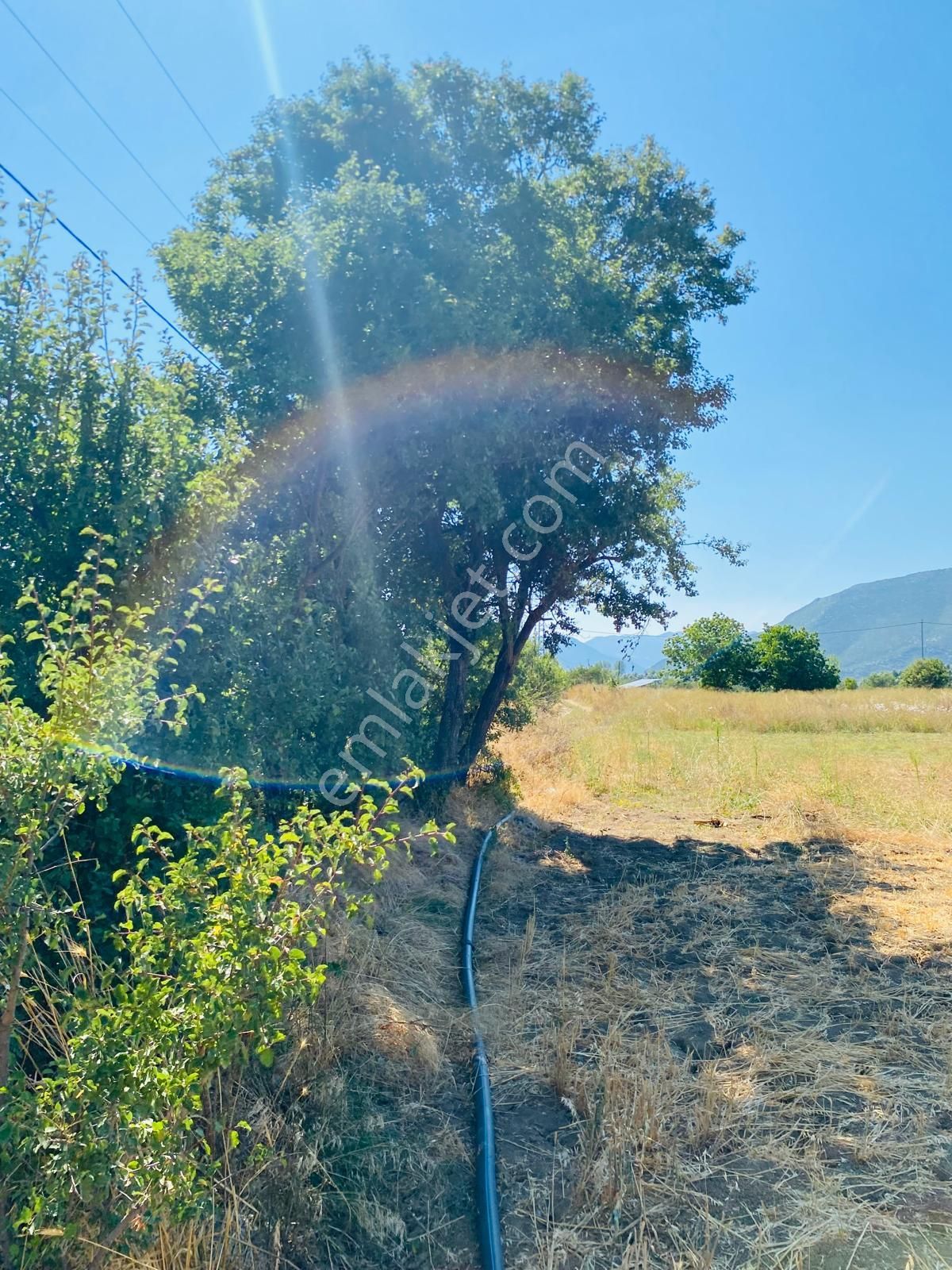 Burdur Ağlasun Hisarköy'de Kadastro Yolu Elektrik Suyu Olan Satılık 631 M2 Tarla - Görsel 2