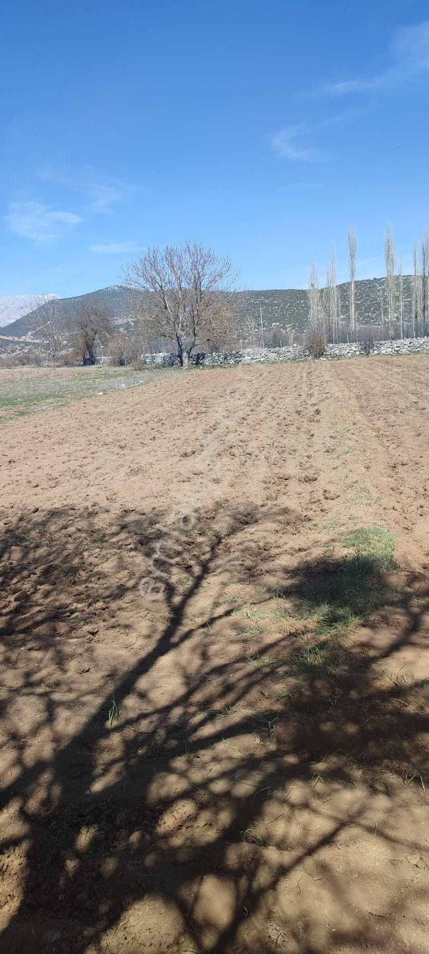 Burdur Ağlasun Hisarköy'de Kadastro Yolu Elektrik Suyu Olan Satılık 631 M2 Tarla - Görsel 12