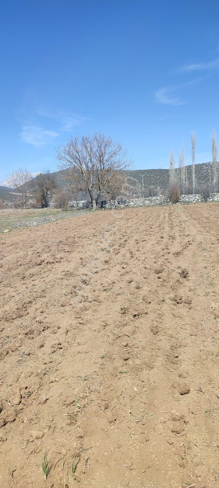 Burdur Ağlasun Hisarköy'de Kadastro Yolu Elektrik Suyu Olan Satılık 631 M2 Tarla - Görsel 14