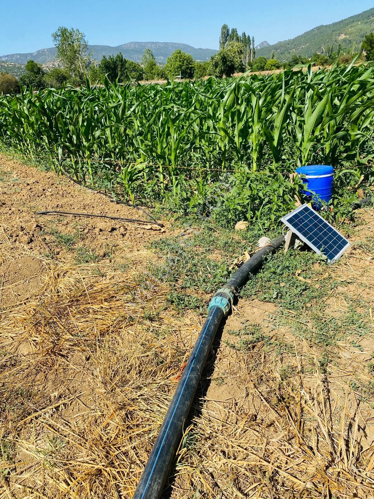 Burdur Ağlasun Hisarköy'de Kadastro Yolu Elektrik Suyu Olan Satılık 631 M2 Tarla - Görsel 3
