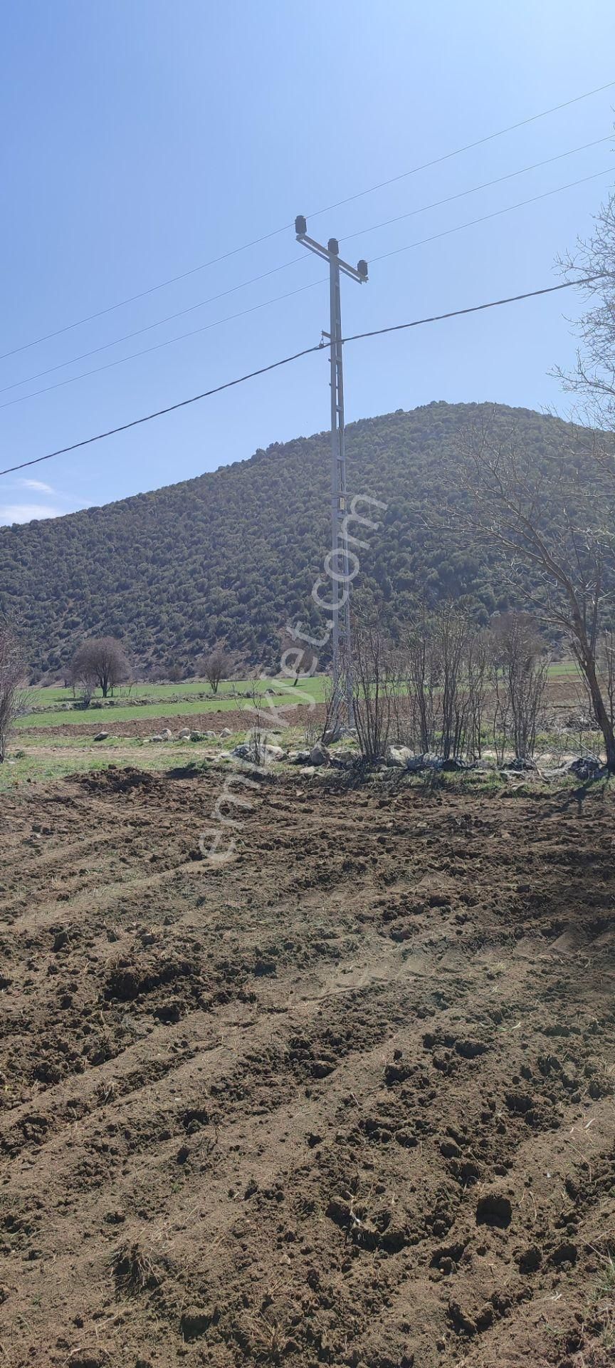 Burdur Ağlasun Hisarköy'de Kadastro Yolu Elektrik Suyu Olan Satılık 631 M2 Tarla - Görsel 9