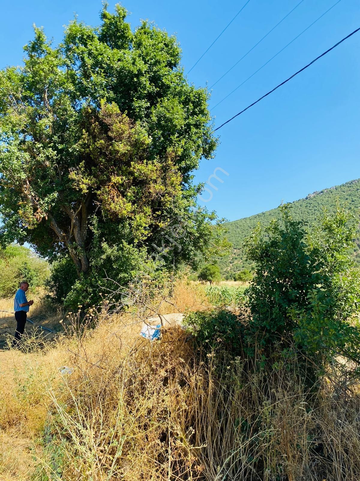 Burdur Ağlasun Hisarköy'de Kadastro Yolu Elektrik Suyu Olan Satılık 631 M2 Tarla - Görsel 5