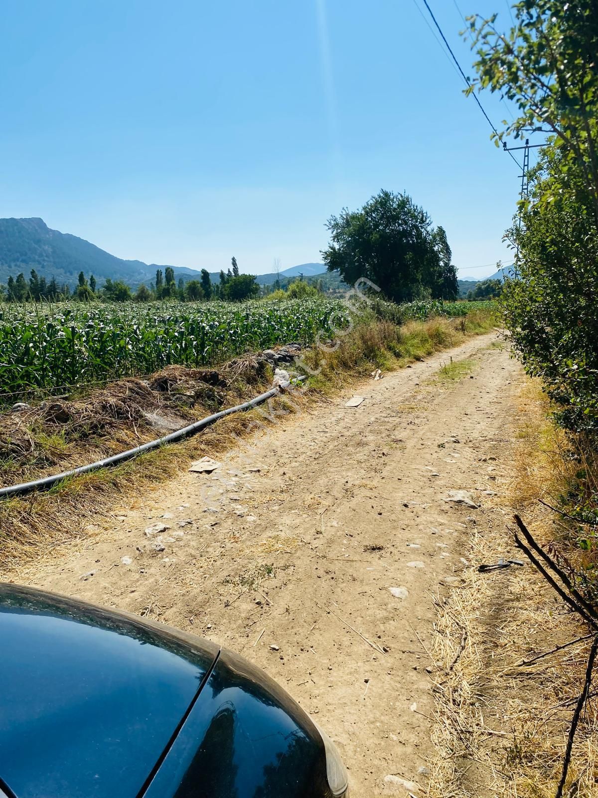 Burdur Ağlasun Hisarköy'de Kadastro Yolu Elektrik Suyu Olan Satılık 631 M2 Tarla - Görsel 8