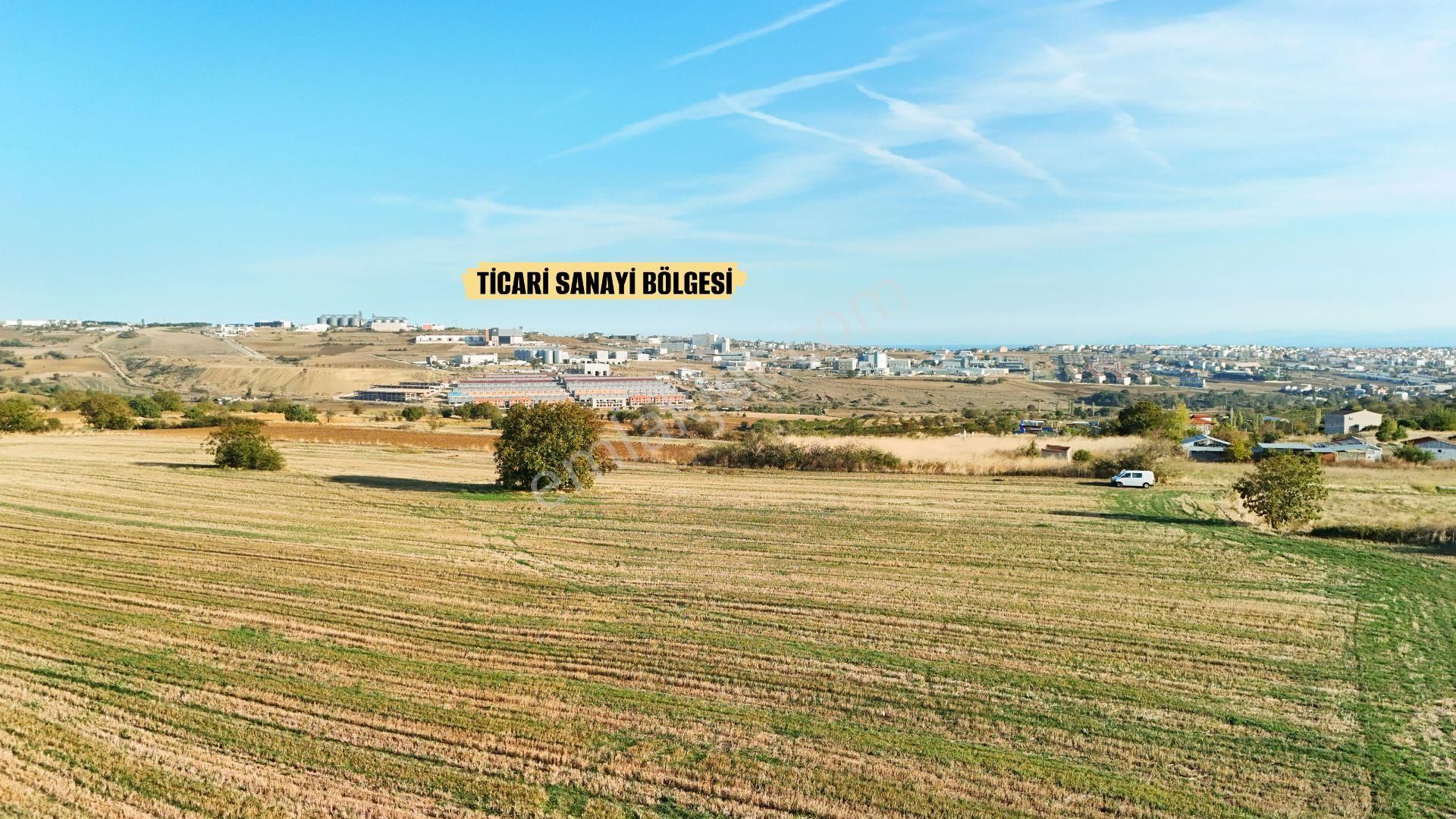 Tekirdağ Merkez’de Yatırımlık İmarlı Arsa!
