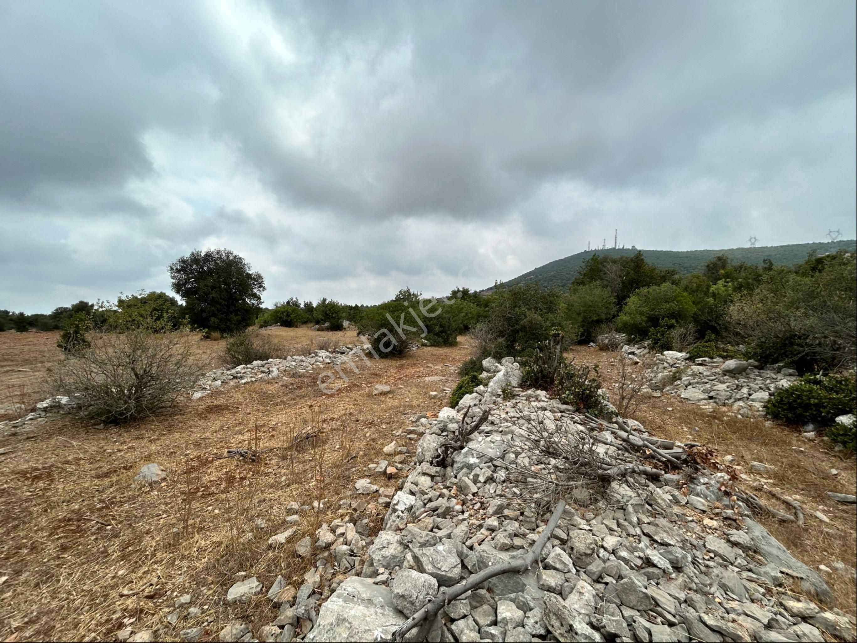 Esenpınar Ağlıca'da 12.600 M2 Müstakil Tapulu Yer - Görsel 3