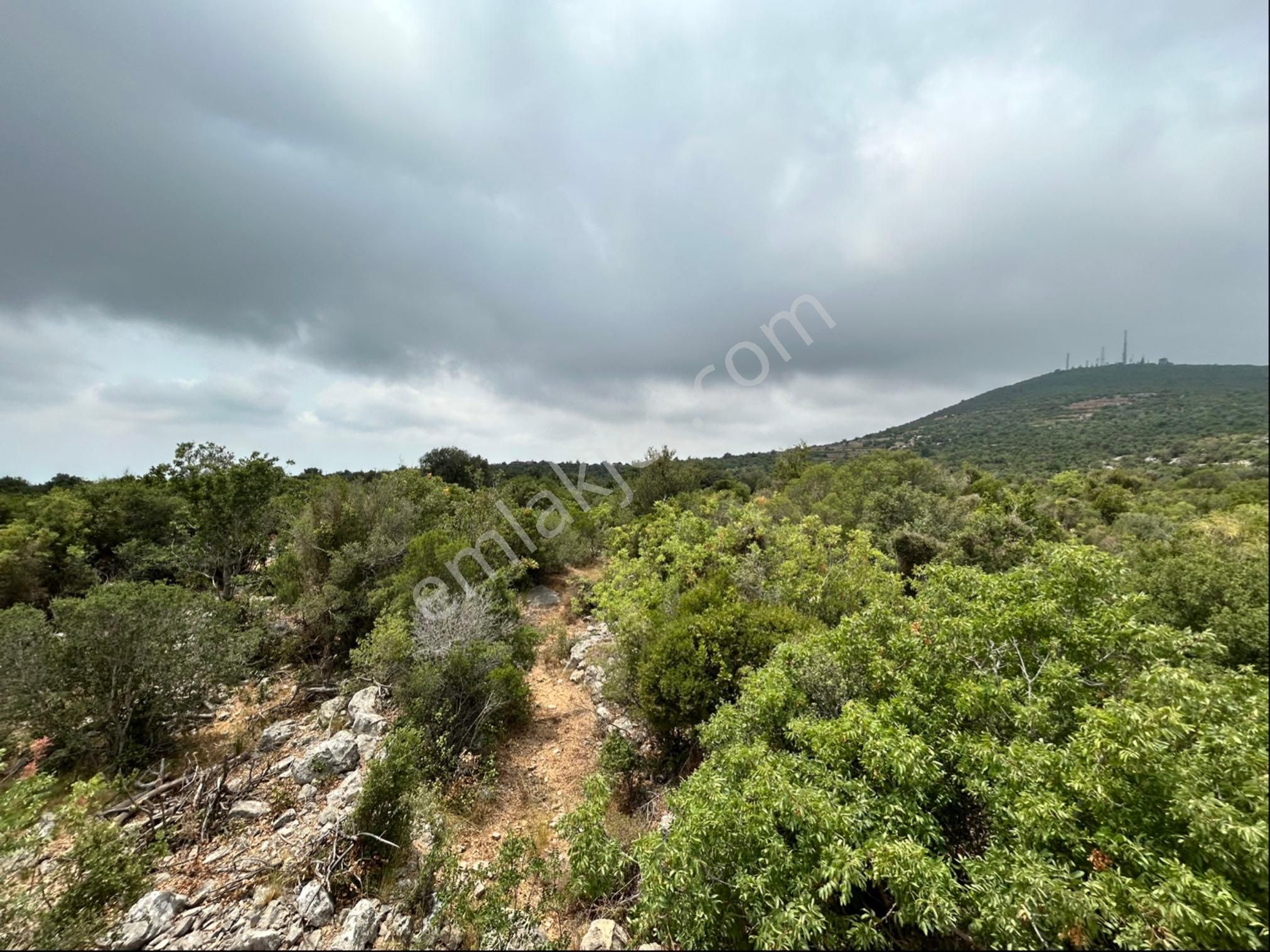 Esenpınar Ağlıca'da 12.600 M2 Müstakil Tapulu Yer - Görsel 2