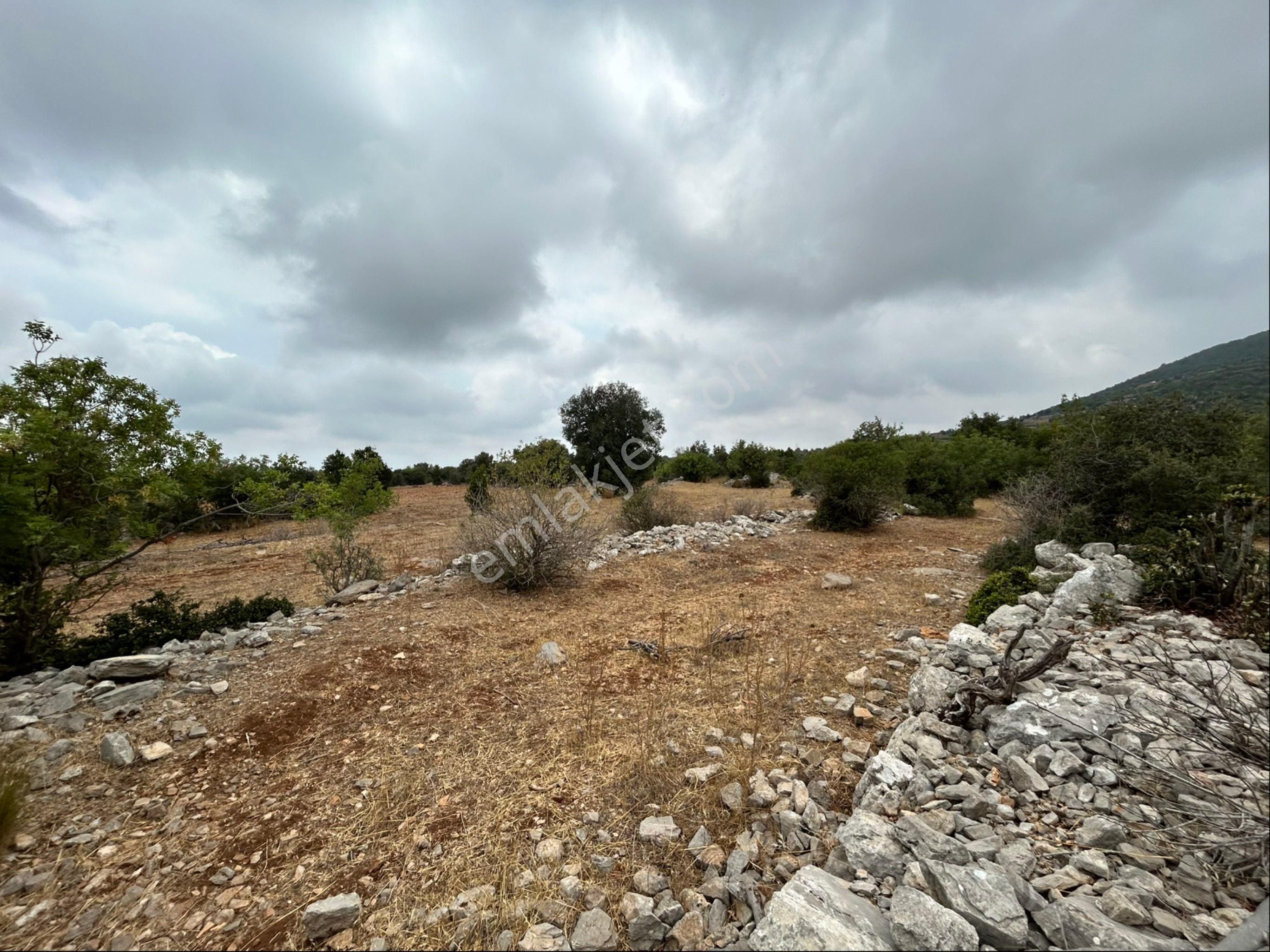Esenpınar Ağlıca'da 12.600 M2 Müstakil Tapulu Yer - Görsel 4