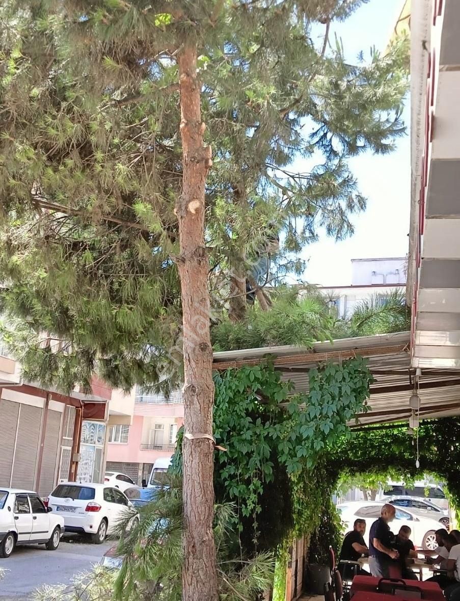 Demir Gayrimenkulden Bafra Meydan'da Site İçi Satılık 3+1 Daire