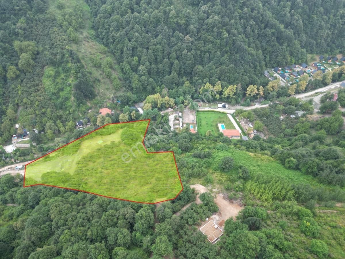 Turyaptan Sapanca Şükriyede Vadi Ve Doğa Manzaralı Bungalovluk - Görsel 9