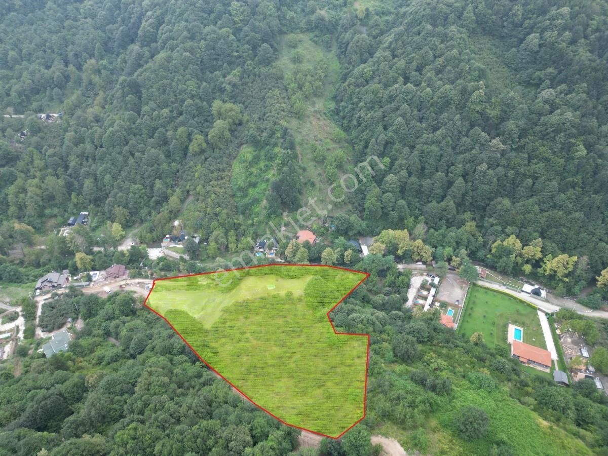 Turyaptan Sapanca Şükriyede Vadi Ve Doğa Manzaralı Bungalovluk - Görsel 16
