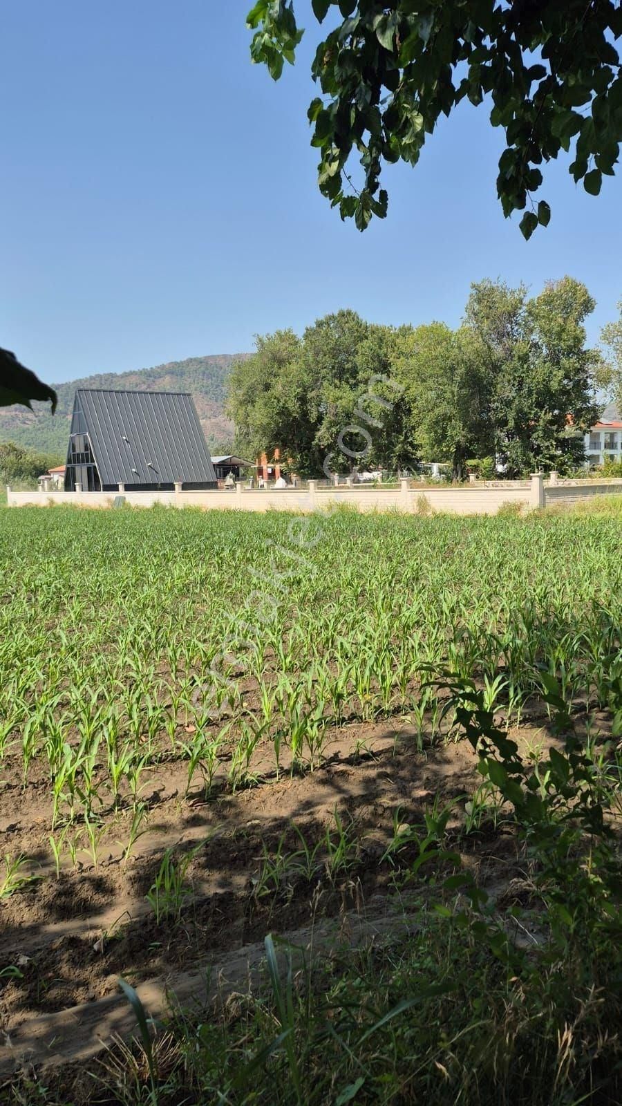 Altın Emlak Ortaca Okçular Mahallesinde 1000m2 Hisseli Satılık Tarla