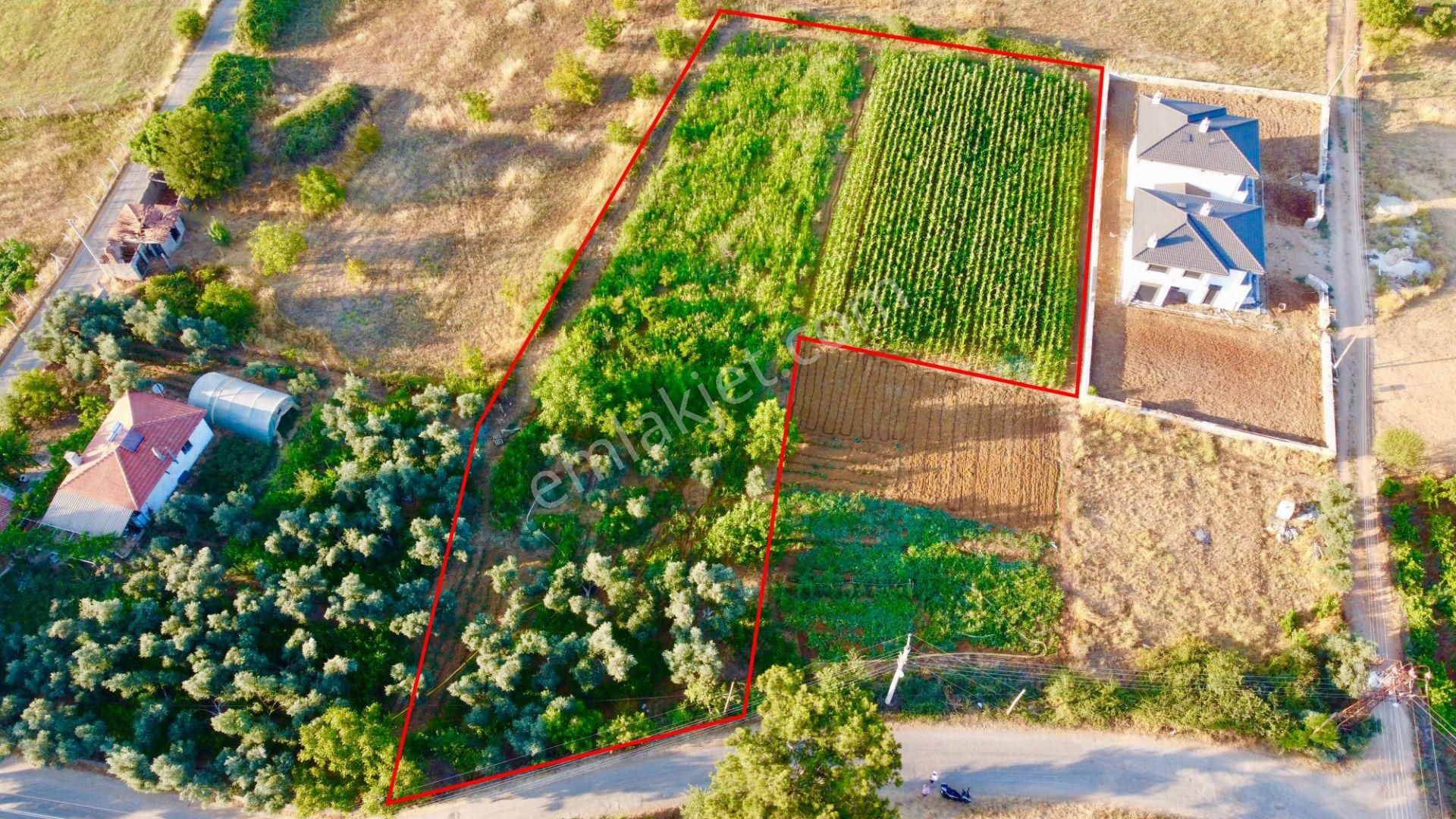 Muğla Yenice'de 3.088 M2 Köyiçi İmarlı Arazi