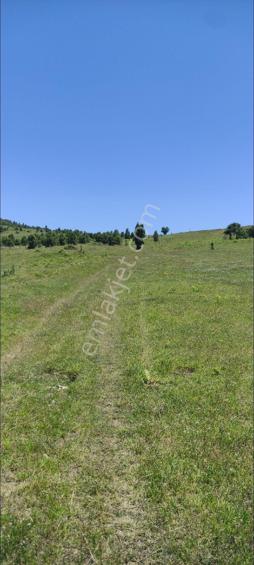 Şile Ağva Bucaklı Mahallesinde Sahibinden Acil Satılık - Görsel 7