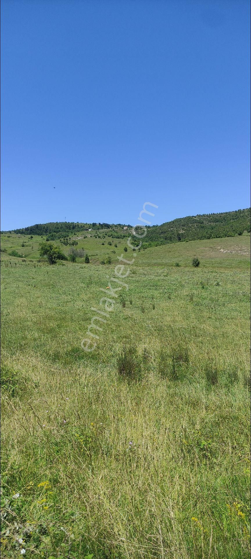 Şile Ağva Bucaklı Mahallesinde Sahibinden Acil Satılık - Görsel 2