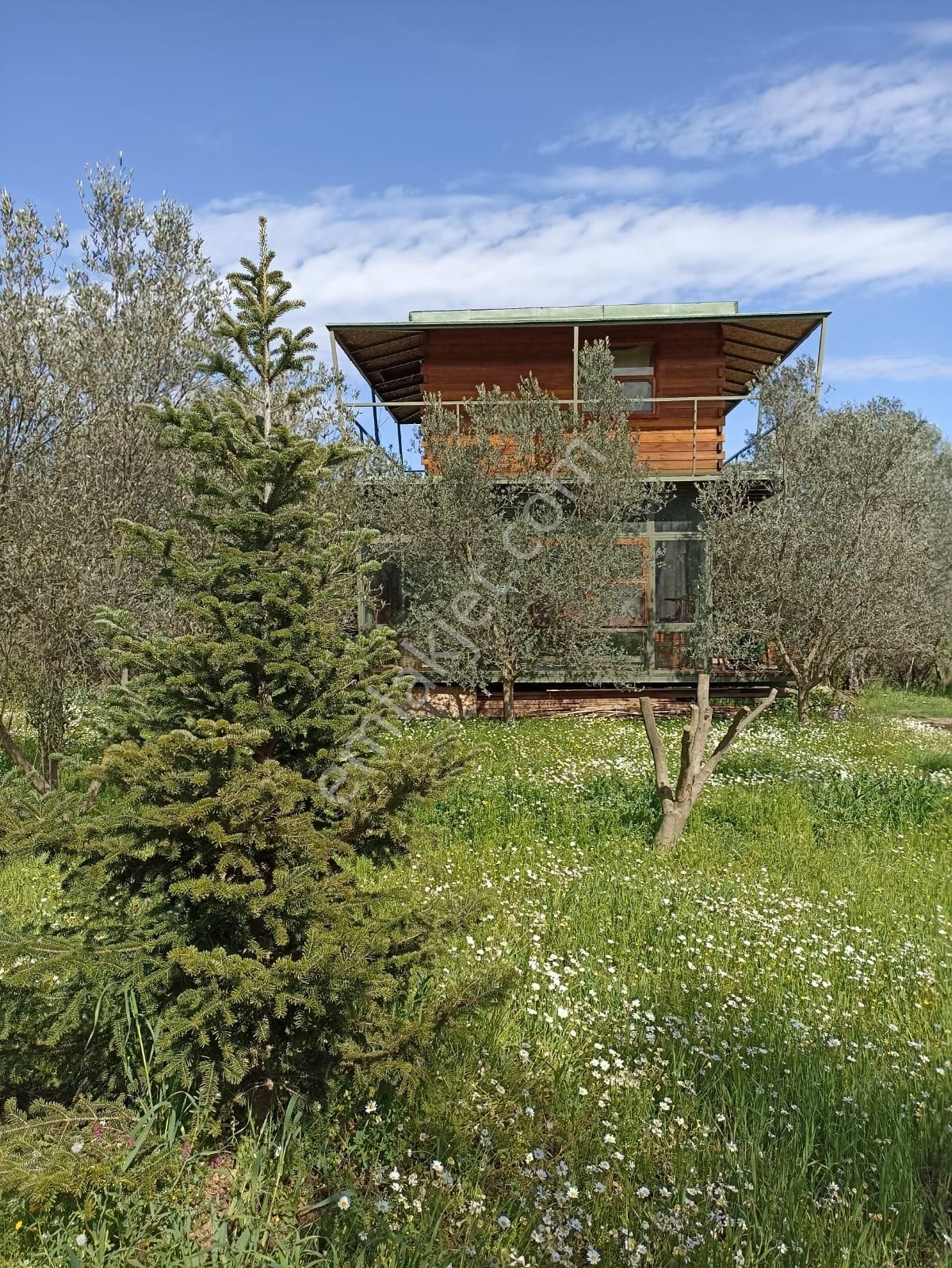 Bal Gayrimenkul- Çatalcada Yol Üzerinde Muhteşem 14 Dönüm Bahçe - Görsel 17