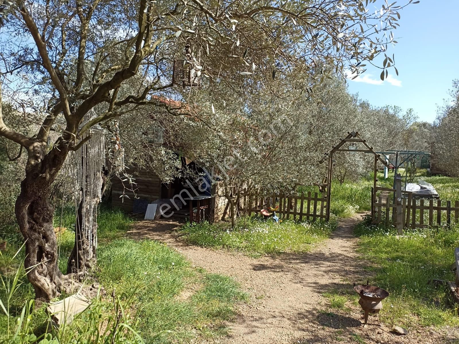 Bal Gayrimenkul- Çatalcada Yol Üzerinde Muhteşem 14 Dönüm Bahçe - Görsel 18